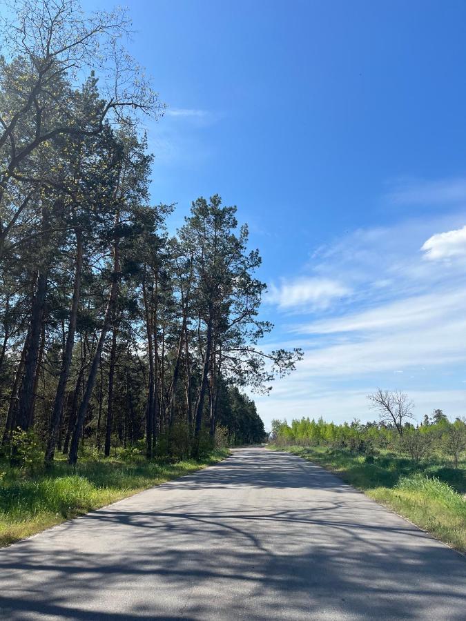 Бабусина Хатка Leplyavo Bagian luar foto